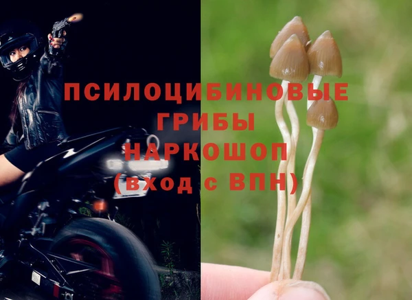2c-b Липки