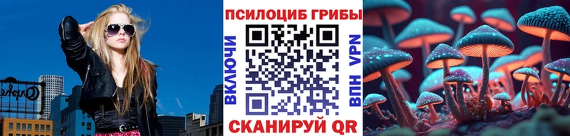 Псилоцибиновые грибы Cubensis  что такое   blacksprut ONION  Усинск 