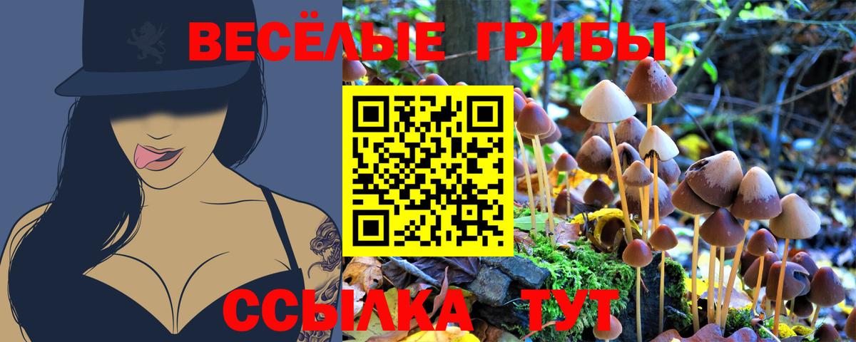 Галлюциногенные грибы Magic Shrooms  Вход с VPN  Галлюциногенные грибы Psilocybe  Усинск 