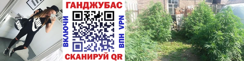 Бошки марихуана сатива Усинск